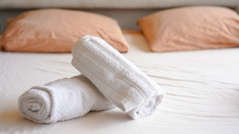 Le Petit Havre – Havre Cosy, Orthez