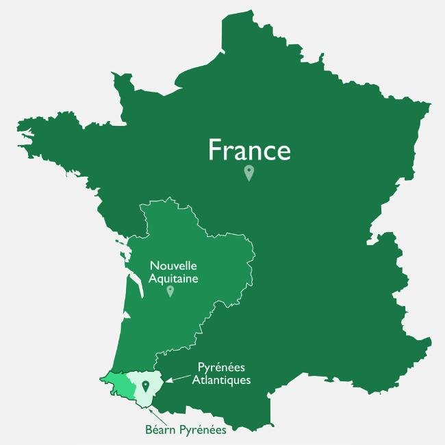 Orthez, une ville centrale pour découvrir les Pyrénées-Atlantiques et les Landes